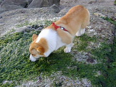 Resize of SANY1007_thumb.jpg